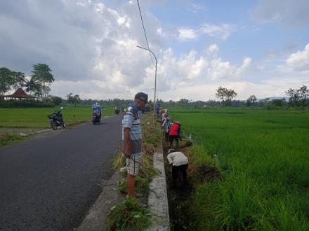 Perlancar Saluran Irigasi, Kelompok Tani se-Kalurahan Gilangharjo Laksanakan Program Angkat Walet